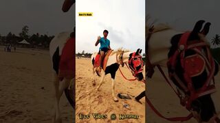 Evening vibe at Chalad Beach ! Horse ride ! Camel ride ! Speed boat ചാലാട് ബീച് കുതിര സവാരി