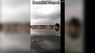 #beautiful sunset #sunset #sunsetview #dusk #nature #vlog #natural #travel #viral #trending #shorts