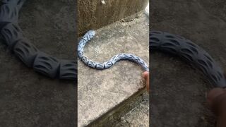 3D printed Flexible Snake #diy #3d #shorts #Modular snake #ender3v2 #Fun with 3D printed Snake