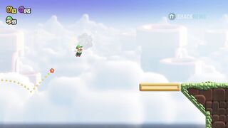 Jet Run 1 Expert Badge Challenge Level - Super Mario Bros. Wonder