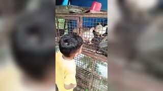 നിനക്കു തരാതെ ഞാൻ കഴിക്കുവോടാ????????#trending#viral#funny#comedy#viralvideo#kunjappan#love#shortsviral