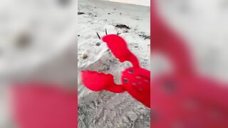 This Lobster HATES Sandcastles ???? #plasticpollution #lobster #beach #cleanup #sandcastle #sand