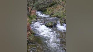 Irish stream