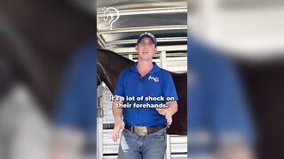 Backing Out Of The Trailer! Part 1! | The Horse Guru-Michael Gascon