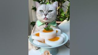 ????Make Delicious Orange Themed Desserts Easily!????#catsofyoutube #tiktok #shorts