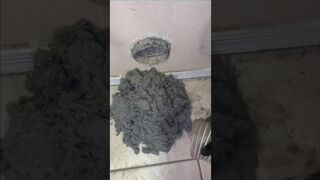 Dryer Vent Cleaning MASSIVE Vacuum Compilation #oddlysatisfying #dryerventcleaning #cleantok