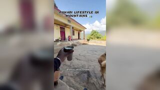 Village lifestyle in mountains mini vlog | travel in Uttarakhand | explore Uttarakhand #uttarakhand