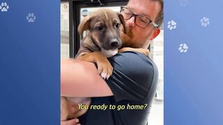 Woman Starts Yoga Class For Rescue Pups.The Matts Are Full! | Cuddle Buddies