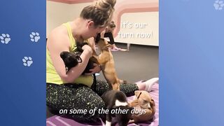 Woman Starts Yoga Class For Rescue Pups.The Matts Are Full! | Cuddle Buddies