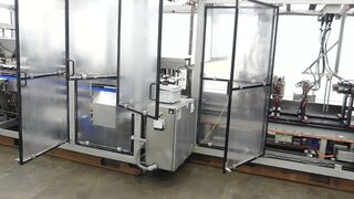 E11118 - Massman HFFS-IM1000 Flexible Pouch Packaging System