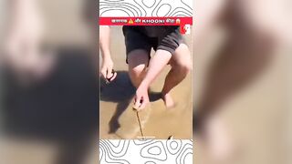 ख़तरनाक ⚠️ beach???? worm ????#shortvideo #beach #new #cricket #gaming