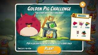 Angry Birds 2 Golden Pig Challenge 7 Rooms (TERENC)