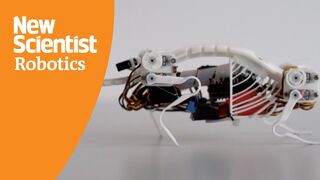 Flexible spine gives mouse-inspired robot greater speed and agility