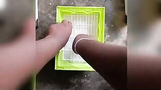 ????????Easy fixable and flexible love birds cage making video.????????