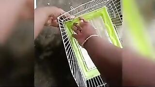 ????????Easy fixable and flexible love birds cage making video.????????