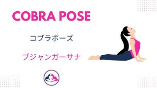 Bhujangasana: コブラポーズで立ち上がり、広がり | Yoga World - Yoga - Cobra Pose のやり方