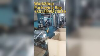 plastic flexible packaging bag