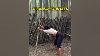 Ejercicio para la ESCOLIOSIS #yoga #fisioterapia #salud #yogi #escoliosis #shorts