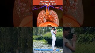 Increase Your Prana Flow #prana #increase #flow #yoga @yogawithamit