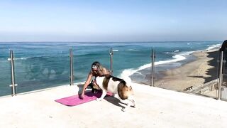 Unbelievable Yoga Session with a Hilarious Dog p.3