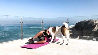 Unbelievable Yoga Session with a Hilarious Dog p.3