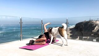 Unbelievable Yoga Session with a Hilarious Dog p.3