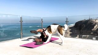 Unbelievable Yoga Session with a Hilarious Dog p.3