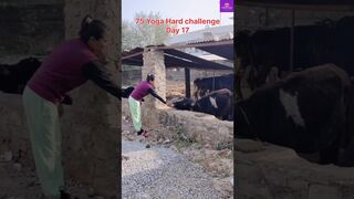 75 Yoga Hard challenge Day/17 #risingyogastudio#75dayschallenge #yogawithbeenbhati#yoga #viralvideos