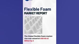 Flexible Foam Market Report 2024 (Global Edition)