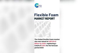 Flexible Foam Market Report 2024 (Global Edition)