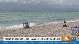 Local travel agency experiences record-breaking bookings for Spring break