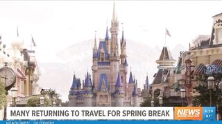 Local travel agency experiences record-breaking bookings for Spring break