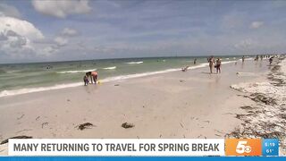 Local travel agency experiences record-breaking bookings for Spring break