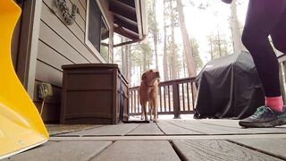 Junebug helped me stretching on the deck, then she got a reward of the day!