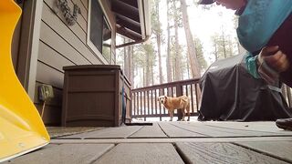 Junebug helped me stretching on the deck, then she got a reward of the day!