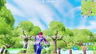 Fortnite Klombo short guide (Klomberries and Klombo locations