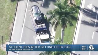 Student dies after getting hit by car at Royal Palm Beach school bus stop