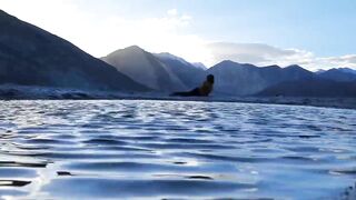 Yoga on Pangong lake with the nature :  Middle of Himalayan mountains