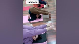 Halasana yoga #streching #viral #trending #youtubeshorts #halasana #ytshorts