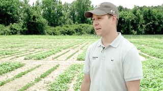 Enversa™ Herbicide Delivers Flexible Weed Control in Soybeans & Cotton