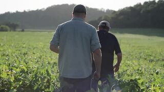 Enversa™ Herbicide Delivers Flexible Weed Control in Soybeans & Cotton