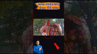 બાબા રામદેવ યોગા કરતા નીચે પડ્યા #babaramdev #yoga #shilpashetty #eliphants