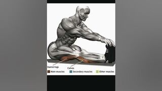 Best Total Body Stretching Exercises to Improve Flexibility · Stretching Exercises · Quad Stretch ????