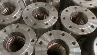 Flexible metal hose with flange for customer video taken in workshop