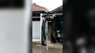 Flexible black Stilts Mamang Sulaeman ????