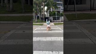 This is how you cross a street right? #flexible #gymnast #frontflip #ytshorts