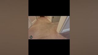 Compass Carpet Repair - Carpet Stretching Wrinkles In Mason OH 45040