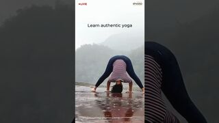 Learn Authentic Yoga Online with a Teacher #yoga