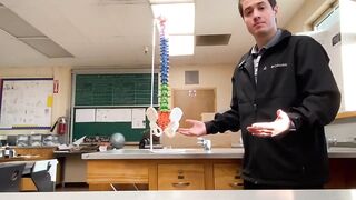 BEAMNOVA Flexible Anatomy Spine Model