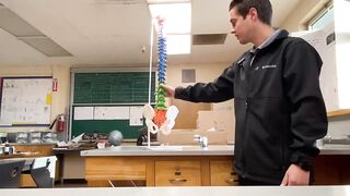 BEAMNOVA Flexible Anatomy Spine Model